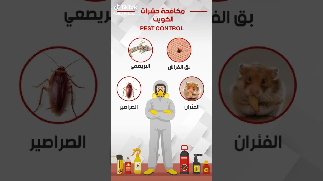 مكافحة حشرات الكويت