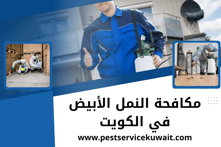 مكافحة حشرات المهبولة بالكويت | شركة رش مبيدات حشرات 24 ساعة 2 فني مكافحة النمل الأبيض
