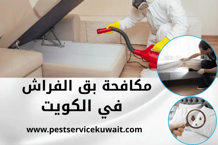 ارخص مكافحة بق الفراش