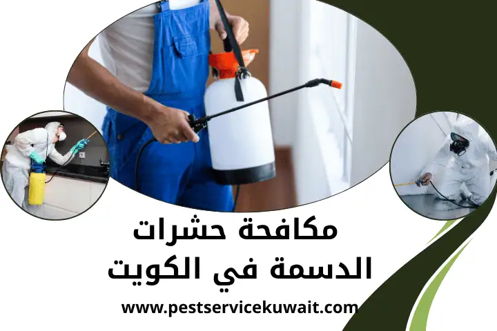 مكافحة حشرات ميدان حولي في الكويت | خدمات مكافحة البعوض 7/24 2 فني مكافحة حشرات الدسمة