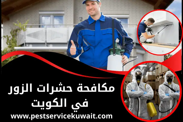 فني مكافحة حشرات الزور