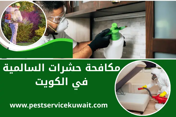 شركة مكافحة حشرات السالمية