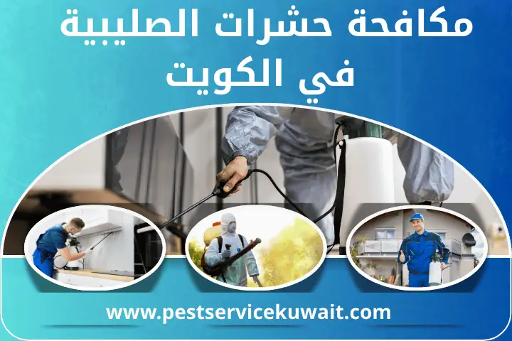 مكافحة حشرات الرقعي بالكويت | خدمة مكافحة الذباب مدار 24 ساعة 2 شركة مكافحة حشرات الصليبية