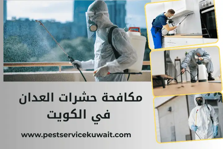 شركة مكافحة حشرات العدان