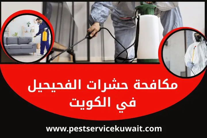 مكافحة حشرات غرناطة في الكويت | خدمات مكافحة البعوض 24 ساعة 2 خدمة مكافحة حشرات الفحيحيل