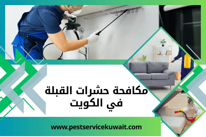 مكافحة حشرات الفحيحيل في الكويت | شركة بيع مبيدات حشرات 24 /7 2 فني مكافحة حشرات القبلة