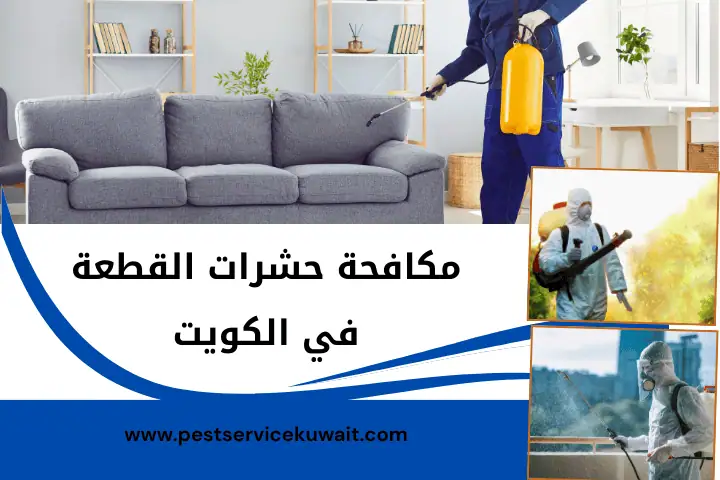 شركة مكافحة حشرات القطعة