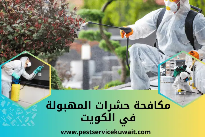 فني مكافحة حشرات المهبولة
