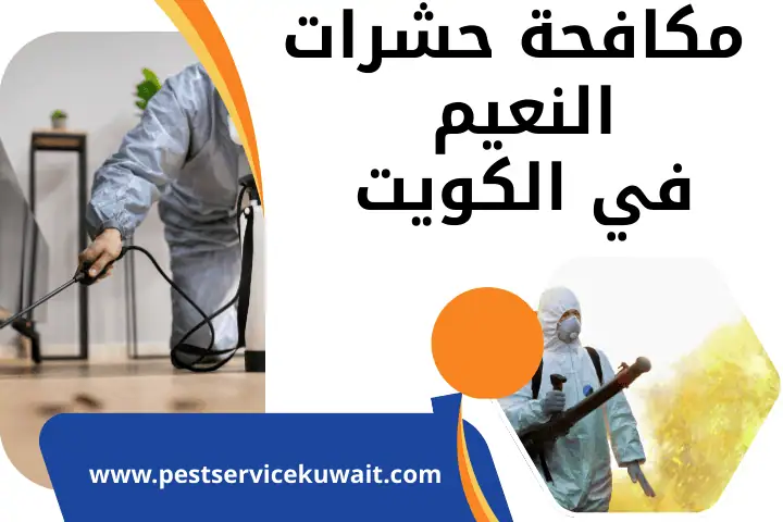 شركة مكافحة حشرات النعيم