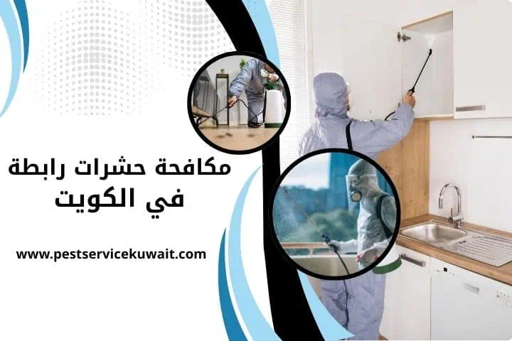 شركة مكافحة حشرات رابطة