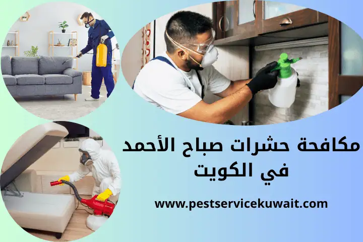 شركة مكافحة حشرات صباح الأحمد