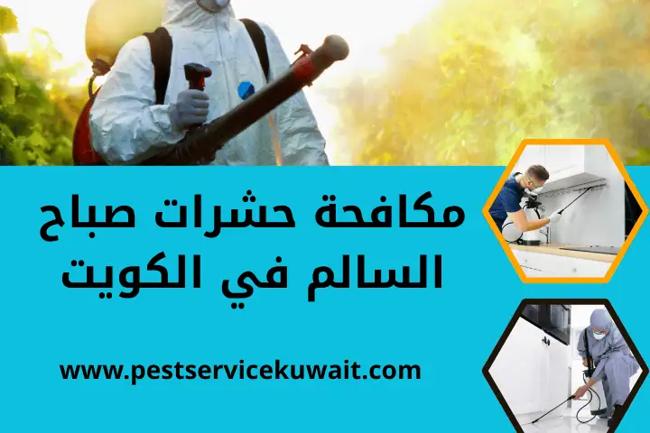 افضل مكافحة حشرات صباح السالم