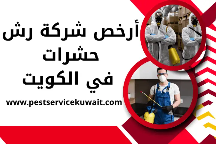 مكافحة حشرات النزهة بالكويت | خدمة مكافحة حشرات زاحفة 24ساعة 3 أرخص شركة رش حشرات