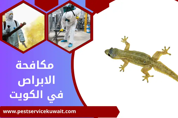شركة مكافحة الأبراص