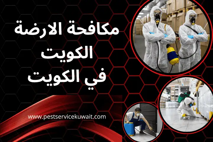 مكافحة حشرات بنيد القار بالكويت _ خدمة مكافحة البعوض 24 ساعة 2 فني مكافحة الارضة
