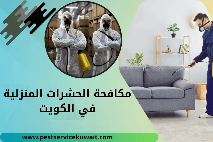 فني مكافحة الحشرات المنزلية