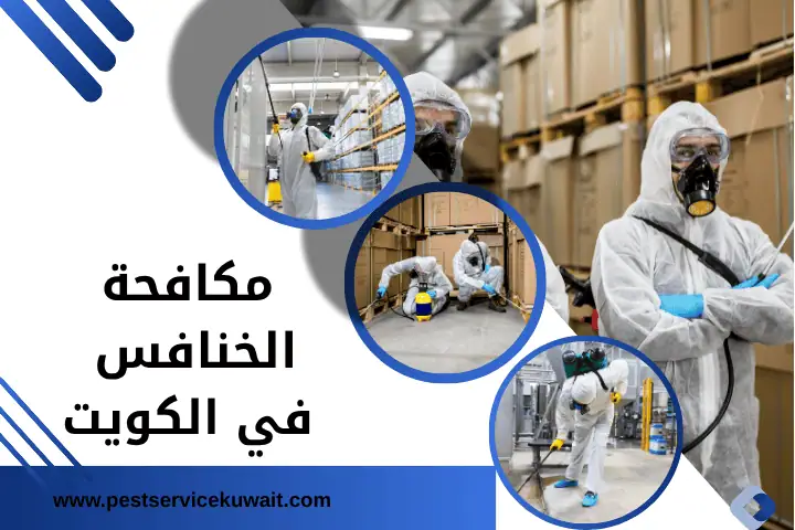 فني مكافحة الخنافس