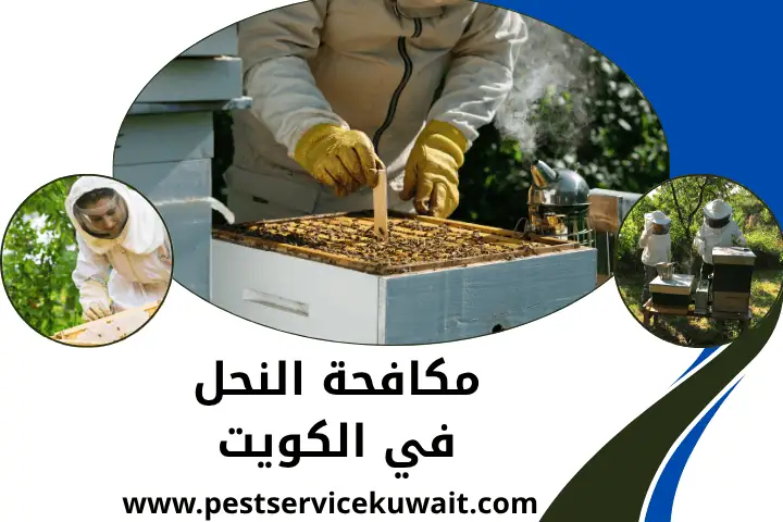 شركة مكافحة النحل