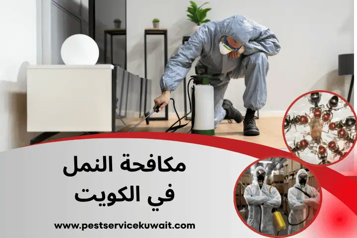 فني مكافحة النمل