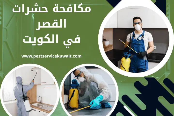 مكافحة حشرات المسيلة في الكويت | فني رش مبيدات حشرات 24 ساعة 2 شركة مكافحة حشرات القصر