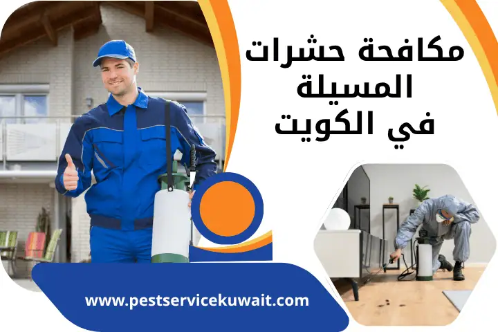 شركة مكافحة حشرات المسيلة