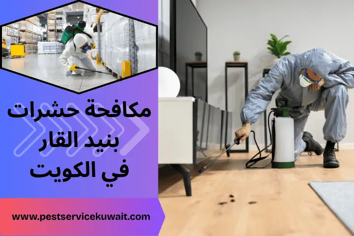 مكافحة حشرات النزهة بالكويت | خدمة مكافحة حشرات زاحفة 24ساعة 2 فني مكافحة حشرات بنيد القار