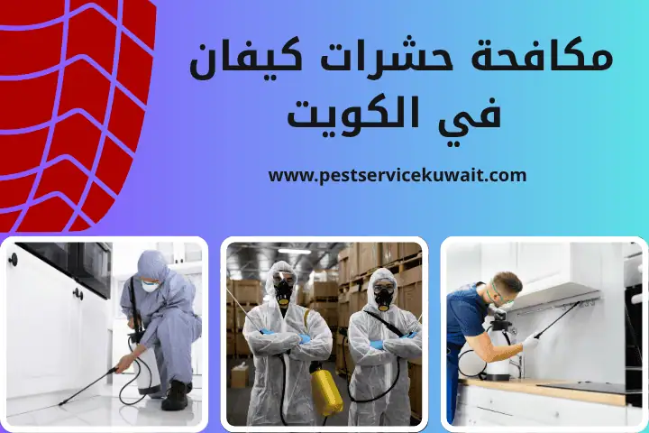 مكافحة حشرات القصر بالكويت 24 ساعة | ابادة القوراض و الحشرات 2 فني مكافحة حشرات كيفان
