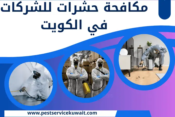 مكافحة حشرات للشركات بالكويت