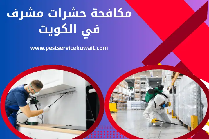 مكافحة حشرات كيفان في الكويت | خدمة مكافحة حشرات الذباب 24 /7 2 فني مكافحة حشرات مشرف