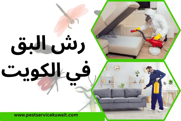 شركة طارد الحمام الكويت 24 ساعة – حلول فعالة وآمنة لطرد الحمام 2 شركة رش البق