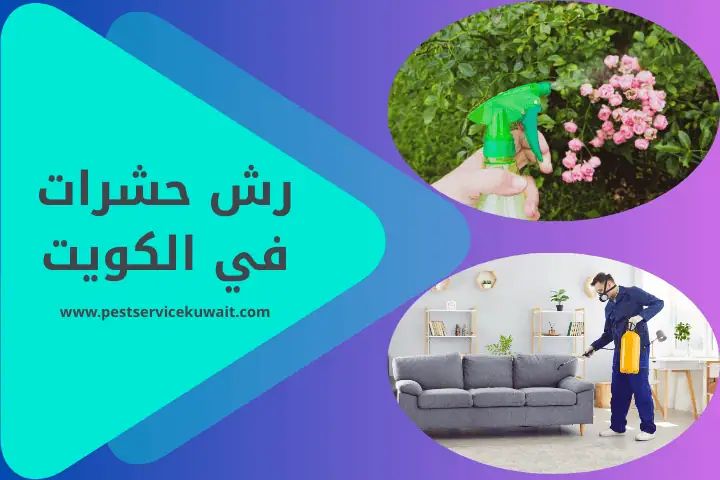 فني رش حشرات الكويت