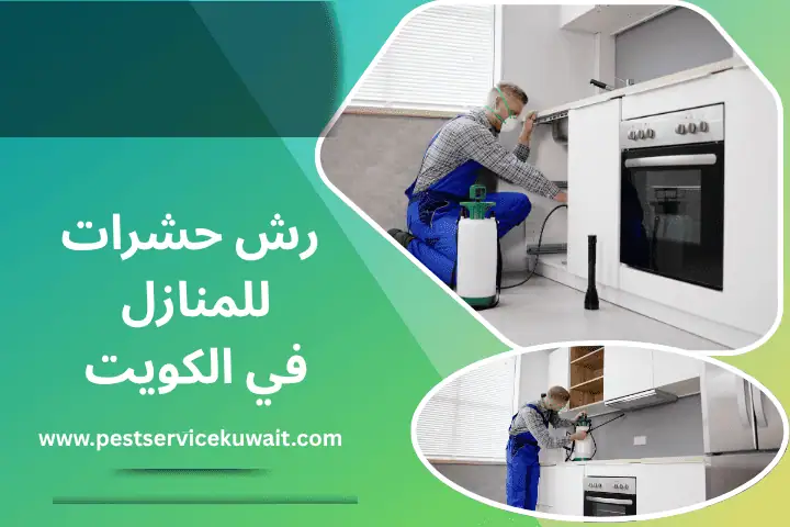 رش حشرات للمنازل