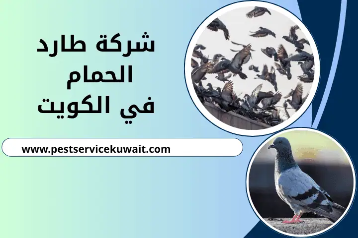 فني شركة طارد الحمام الكويت