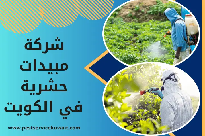 شركة مبيدات حشرية