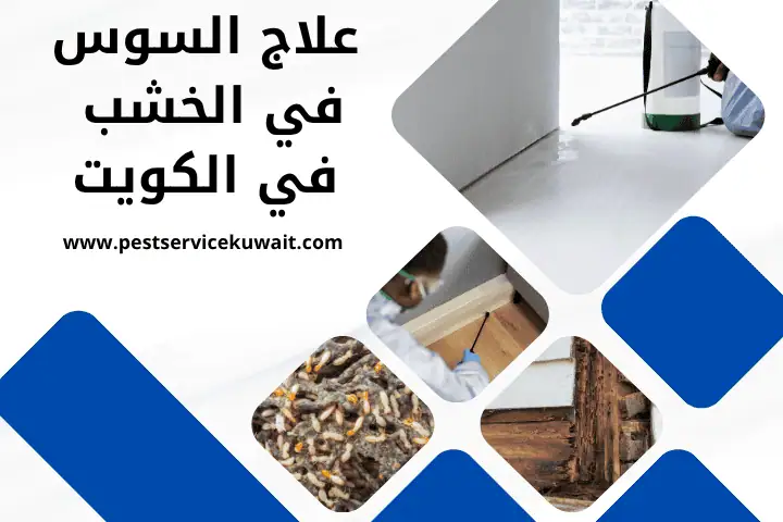 شركة مبيدات حشرية بالكويت 24 ساعة – مكافحة حشرات فعالة وآمنة 3 علاج السوس في الخشب