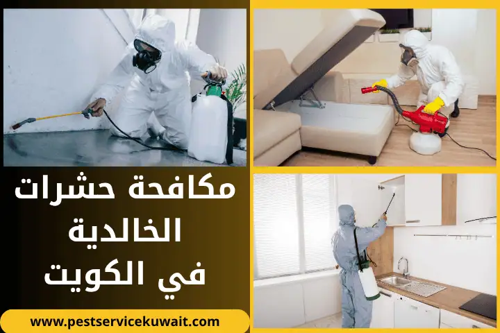 فني مكافحة حشرات الخالدية