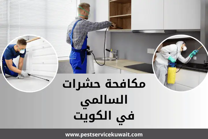 فني مكافحة حشرات السالمي