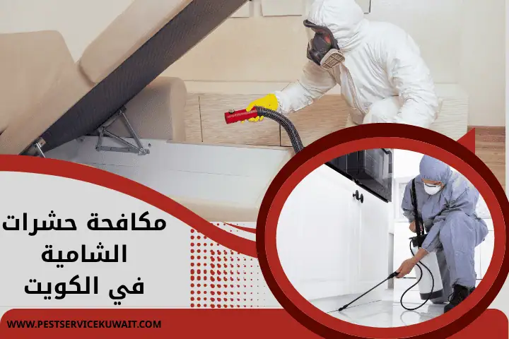 فني مكافحة حشرات الشامية