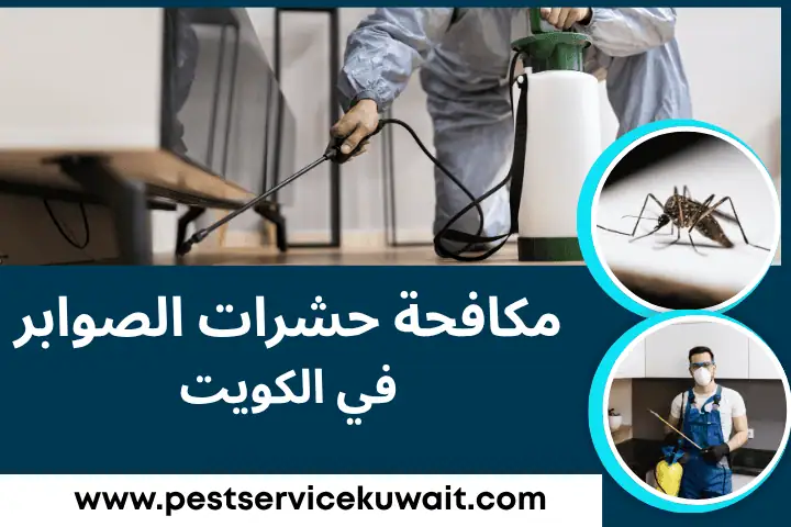 شركة مكافحة حشرات الصوابر