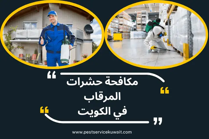 مكافحة حشرات المرقاب