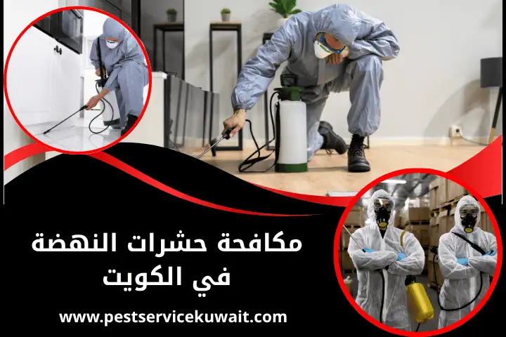 فني مكافحة حشرات النهضة