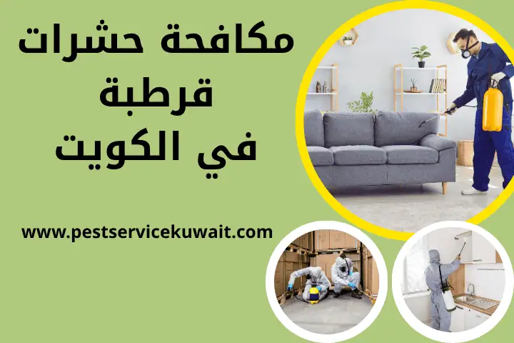 فني مكافحة حشرات قرطبة