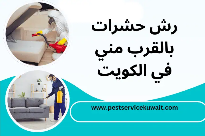 فني رش حشرات بالقرب مني