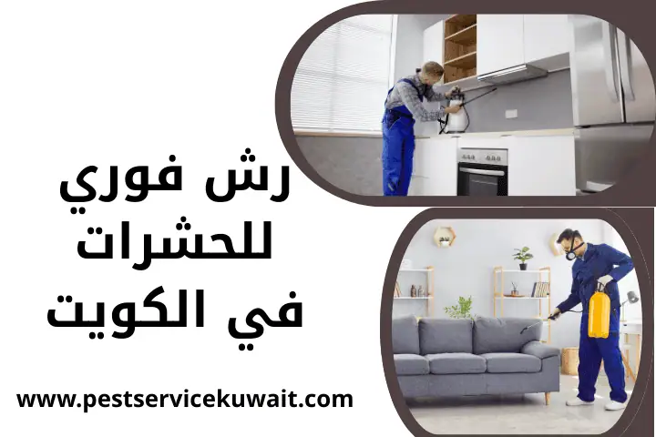 رش فوري للحشرات
