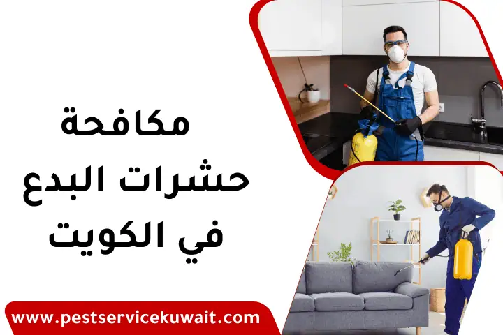 مكافحة حشرات البدع