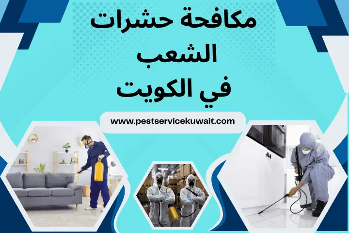 مكافحة حشرات سلوى في الكويت 24 /7 – أسرع استجابة وخدمة مضمونة 2 ورشة مكافحة حشرات الشعب