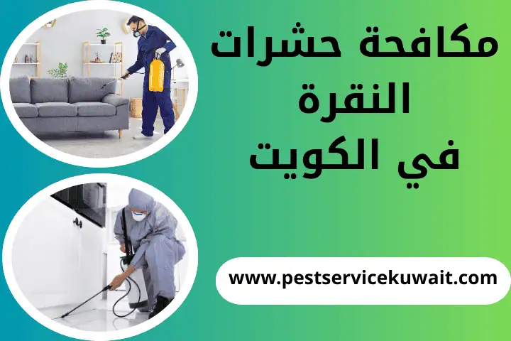 فني مكافحة حشرات النقرة