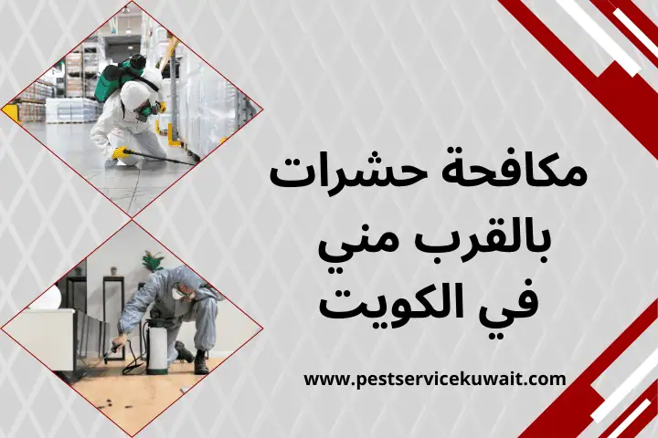 مكافحة حشرات بالقرب مني