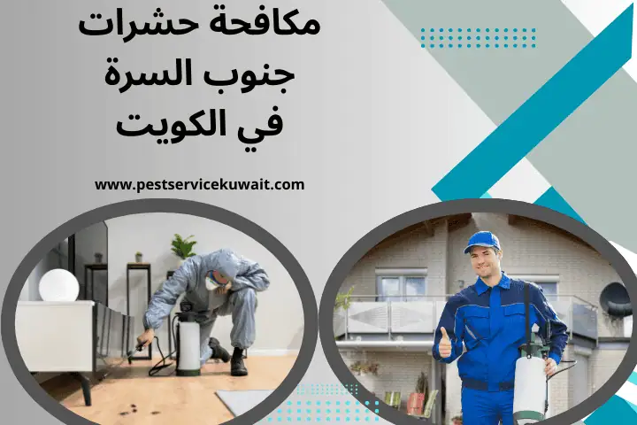 مكافحة حشرات جنوب السرة