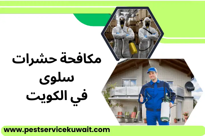 فني مكافحة حشرات سلوى